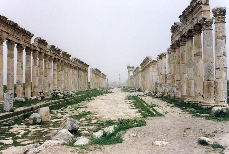 Apamea_Cardo_Maximus