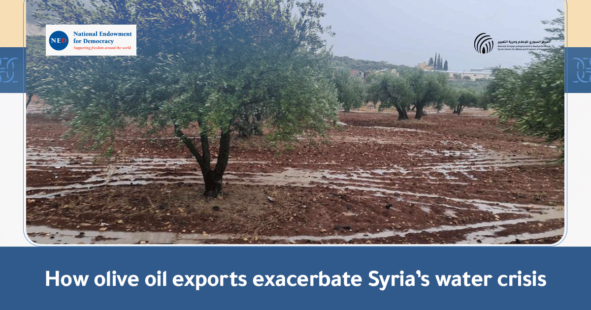 How-olive-oil-exports-exacerbate-Syria’s-water-crisis