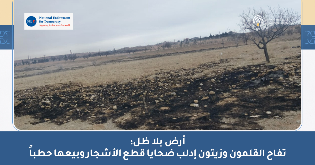 Land-Without-Shade-AR