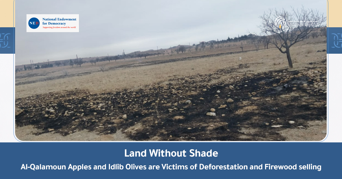 Land-Without-Shade-EN