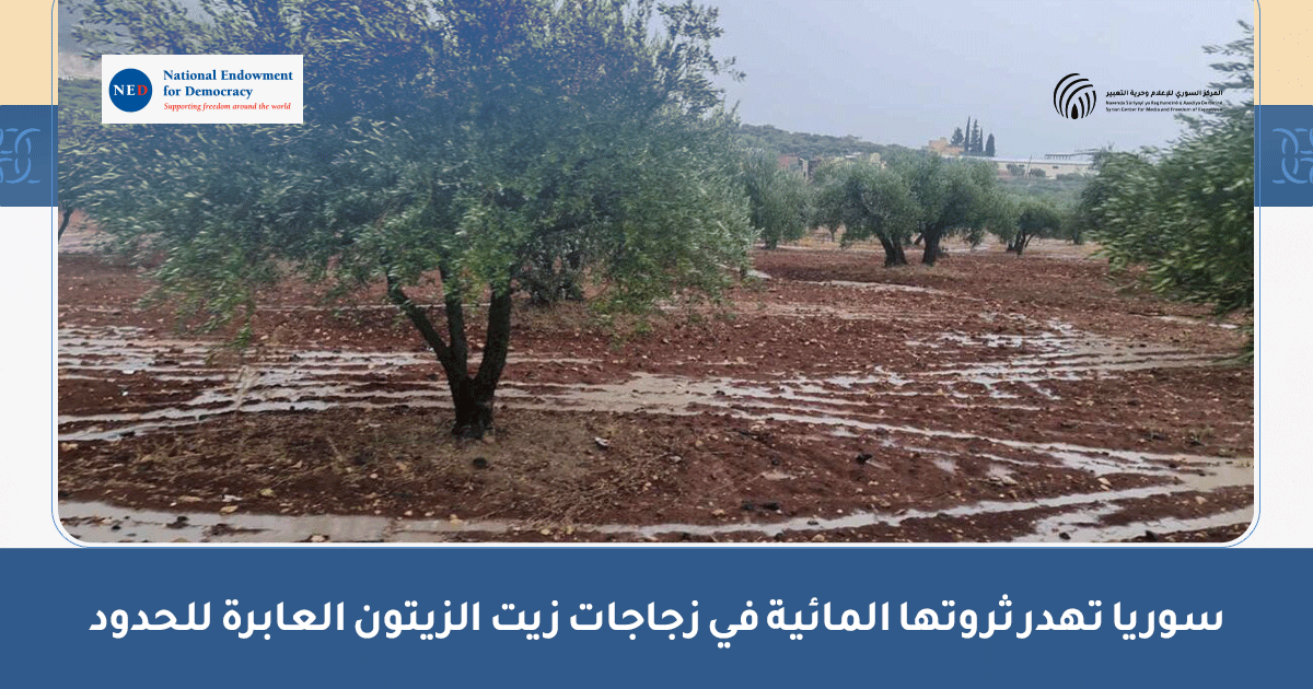 Syria-Squanders-Its-Water-Wealth-in-Bottles-of-Olive-Oil-Crossing-Borders
